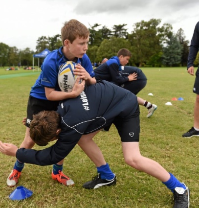 stage rugby irlande